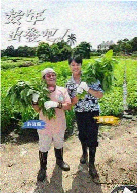 舞台之后 幕后纪实综艺